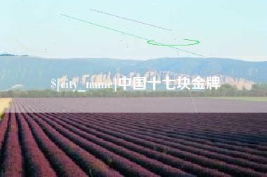 抚州中国十七块金牌