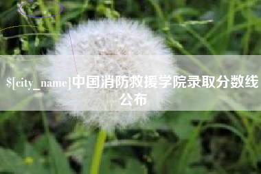 抚州中国消防救援学院录取分数线公布