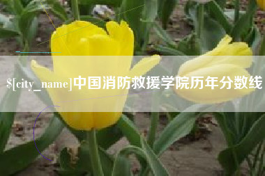 抚州中国消防救援学院历年分数线