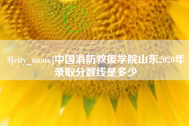 抚州中国消防救援学院山东2020年录取分数线是多少