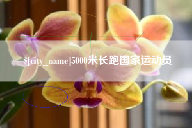 抚州5000米长跑国家运动员