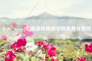 抚州中国消防救援学院高考分数线
