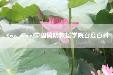 抚州中国消防救援学院百度百科
