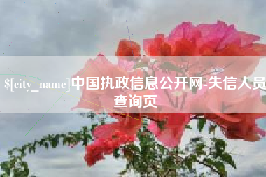 抚州中国执政信息公开网-失信人员查询页