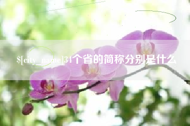 抚州34个省的简称分别是什么