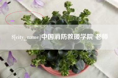 抚州中国消防救援学院 老师
