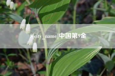 抚州中国第9金