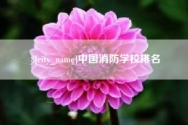 抚州中国消防学校排名