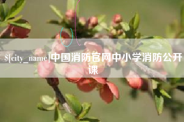 抚州中国消防官网中小学消防公开课