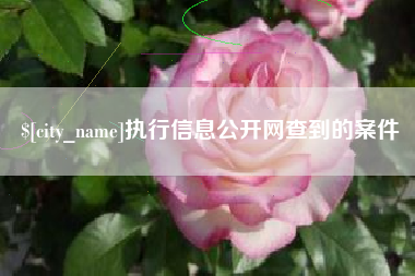 抚州执行信息公开网查到的案件