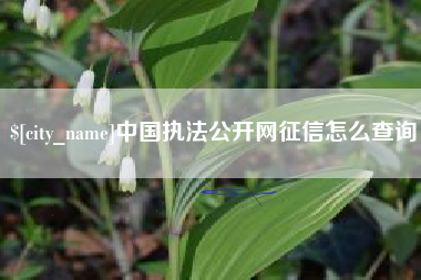 抚州中国执法公开网征信怎么查询