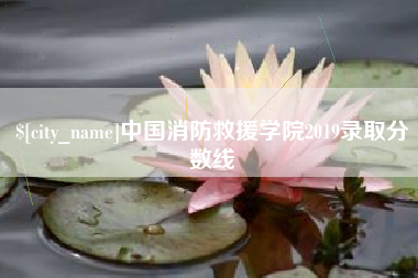 抚州中国消防救援学院2019录取分数线