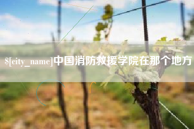 抚州中国消防救援学院在那个地方