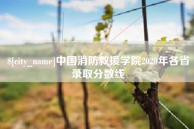 抚州中国消防救援学院2020年各省录取分数线