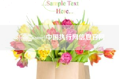 抚州中国执行网信息官网