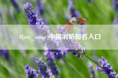 抚州中国消防报名入口