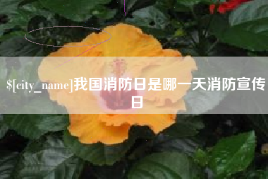 抚州我国消防日是哪一天消防宣传日