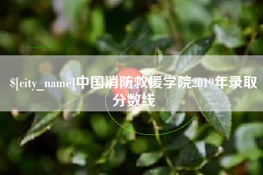 抚州中国消防救援学院2019年录取分数线