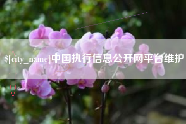 抚州中国执行信息公开网平台维护