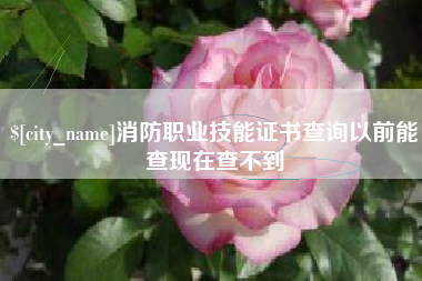 抚州消防职业技能证书查询以前能查现在查不到