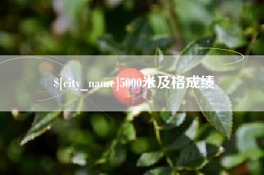 抚州5000米及格成绩