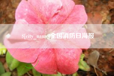 抚州全国消防日海报