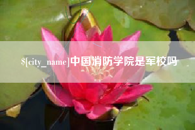 抚州中国消防学院是军校吗