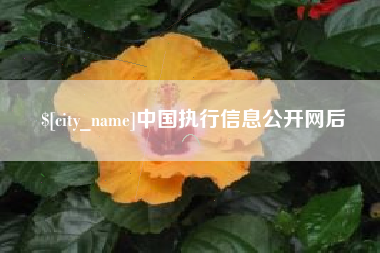 抚州中国执行信息公开网后