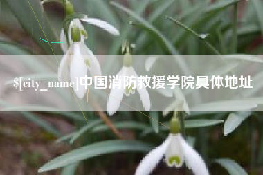 抚州中国消防救援学院具体地址