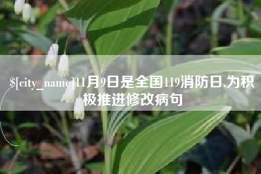 抚州11月9日是全国119消防日,为积极推进修改病句