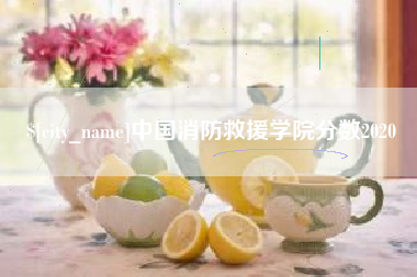 抚州中国消防救援学院分数2020