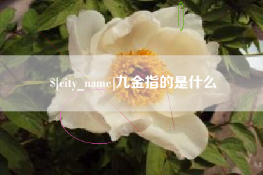 抚州九金指的是什么