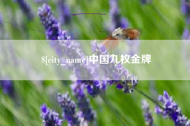 抚州中国九枚金牌