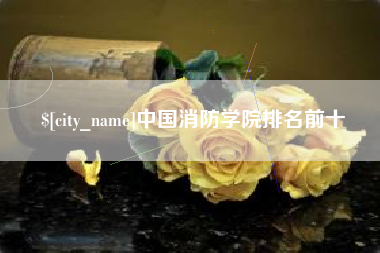 抚州中国消防学院排名前十