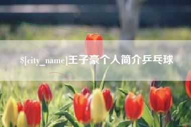 抚州王子豪个人简介乒乓球
