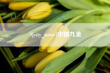 抚州中国九金