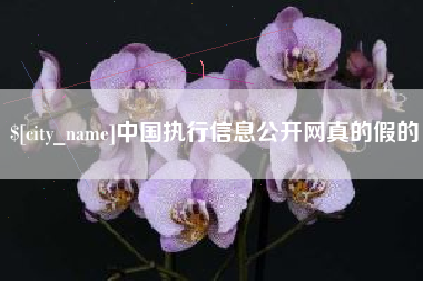 抚州中国执行信息公开网真的假的