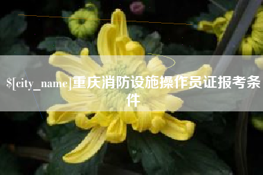 抚州重庆消防设施操作员证报考条件