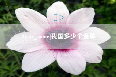 抚州我国多少个金牌