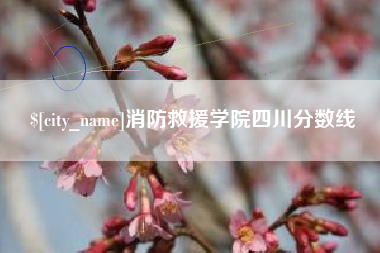 抚州消防救援学院四川分数线