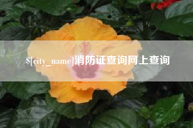 抚州消防证查询网上查询