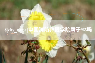 抚州中国消防救援学院属于985吗