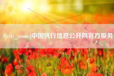 抚州中国执行信息公开网官方服务