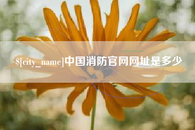 抚州中国消防官网网址是多少
