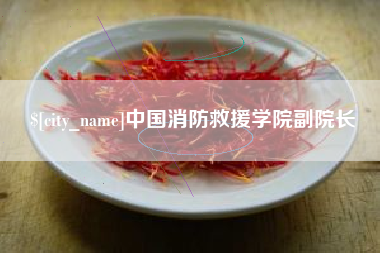 抚州中国消防救援学院副院长