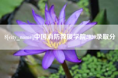 抚州中国消防救援学院2020录取分