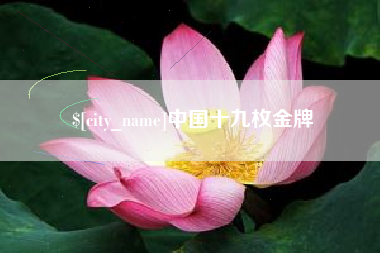 抚州中国十九枚金牌