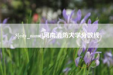 抚州河南消防大学分数线