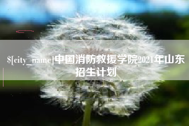 抚州中国消防救援学院2021年山东招生计划