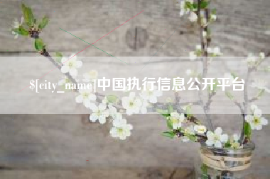 抚州中国执行信息公开平台